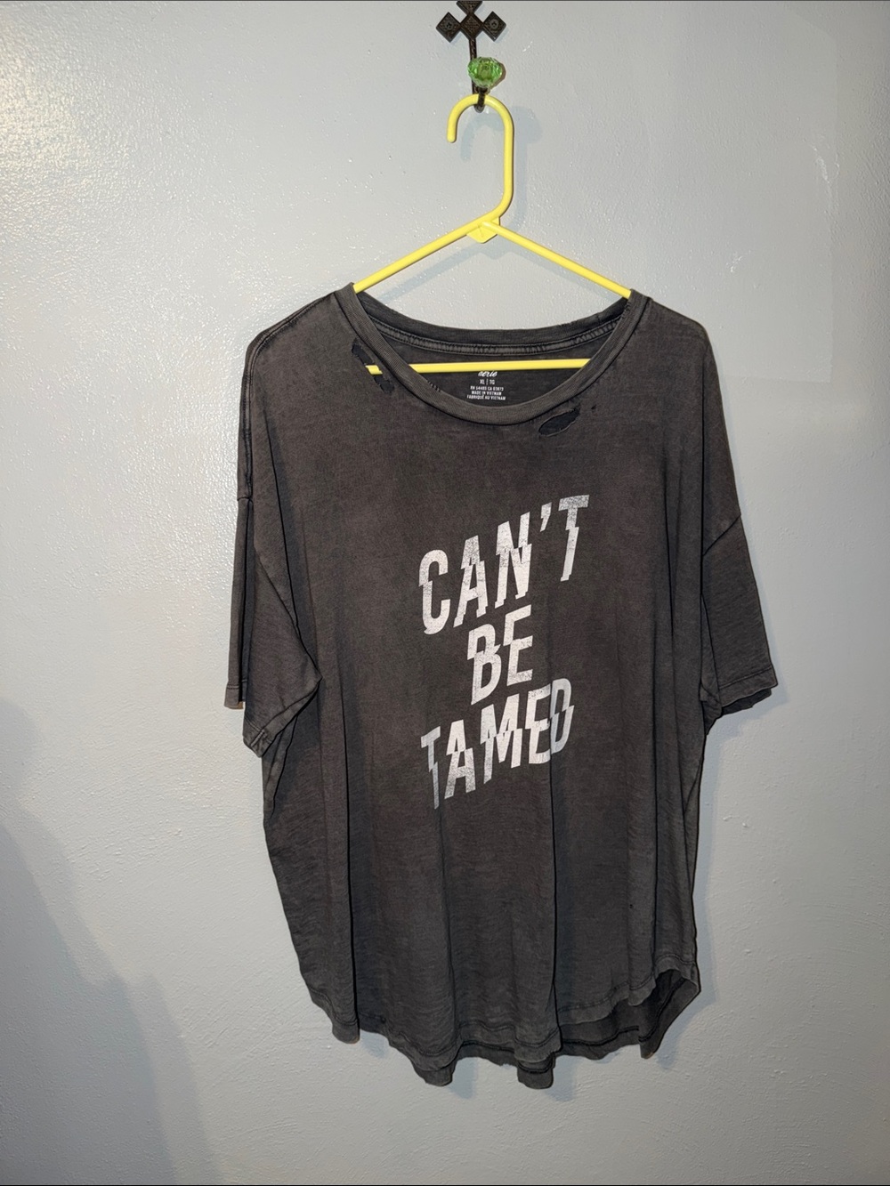 Aerie Distressed Graphic Relaxed-Fit Tee — Can't Be Tamed (Charcoal)